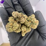 Blue Skittlez THCa