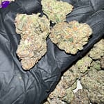 Bubble Gum Gelato THCa Flower