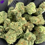 Cherry Dosido THCa Flower