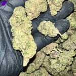 Donny Burger THCA Flower