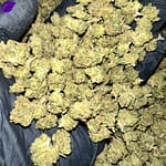 Gelato Cake THCa Flower
