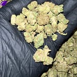 Hella Jelly THCa Flower