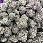 Lemon Cherry Gelato THCa