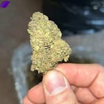 Pink Runtz THCa