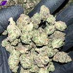 Secret Cookies THCa Flower