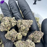 Super Runtz THCa