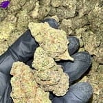 Violet Fog Exotic THCa Flower
