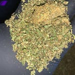 Indoor THCa Trim
