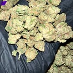 Zkittlez Exotic THCa Flower