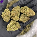 High Octane THCa Flower