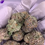 Purple Punch Exotic THCa Flower