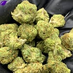Candy Glue THCa Flower