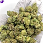 Afro Runtz Exotic THCa Flower