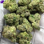 Gorilla Glue #4 THCa Flower