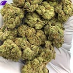 Grape Candy Runtz THCa Flower