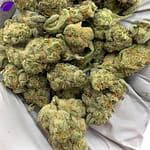 Grapes and Cream THCa Flower