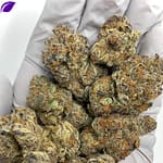 Sour Cherry Exotic THCa Flower