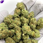 Blue Skunk THCa Flower