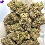 Milky Way Exotic THCA Flower