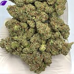 Rainbow Push Pop THCA Flower