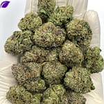 Razzmatazz Runtz THCA Flower