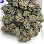 Shirley Temple THCA Flower