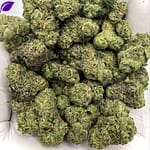Spooky Runtz THCA Flower