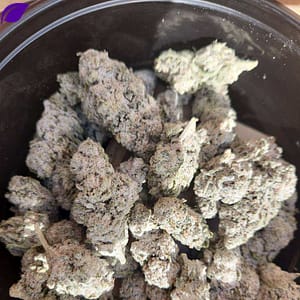 Explore Critical Berry THCA: Potent Hybrid Cannabis Flowers
