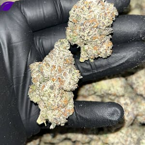 "Experience Opulence with Slurricane THCA EXOTICS: Unique Lineage & 25-30% THC"