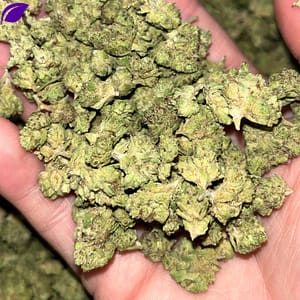 Sunday Driver Smalls THCA