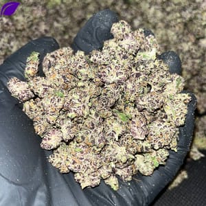 Tropicana Smalls Ecxotic THCA
