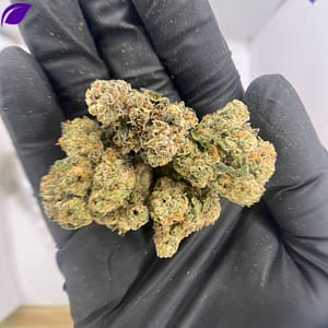Blue Skittlez THCa