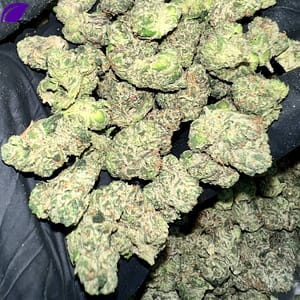 Candy Gelato Exotic THCa Flower
