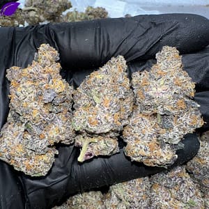 Candy Rain THCa