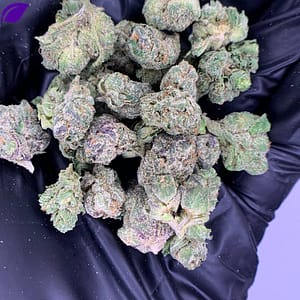 Codeine Cupz THCa Flower - Closeup of High-THCa Cannabis Buds