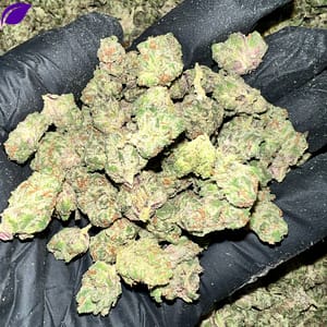 Double Stuff THCa Flower - Closeup of High-THCa Cannabis Buds