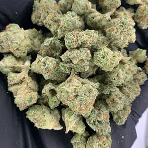 Fiji Mintz THCa Flower - Closeup of High-THCa Cannabis Buds