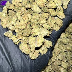Gary Zkittles THCa Flower - High-Quality Wholesale