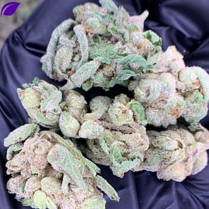 Lions Cake THCa Flower - Closeup of High-THCa Cannabis Buds