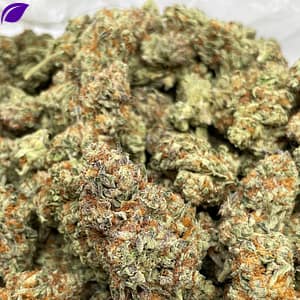 Sherblatto THCa Flower