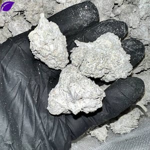 White Wedding THCa Flower - Closeup of High-THCa Cannabis Buds