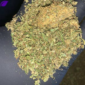 Wholesale Cannabis Indoor Trim - Order Bulk THCa Trim