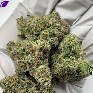 Cherry Taffy THCa Strain packaging with lab-tested results and guaranteed potency