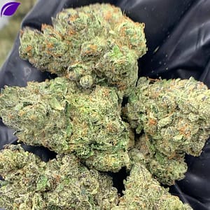 Purple Nitro THCa Flower Wholesale - 28.9% THCa,