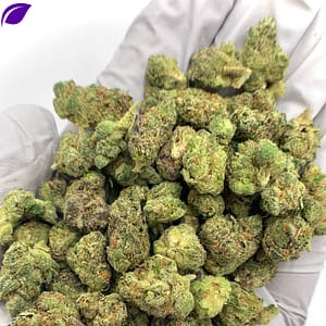 Afro Runtz Exotic THCa Flower