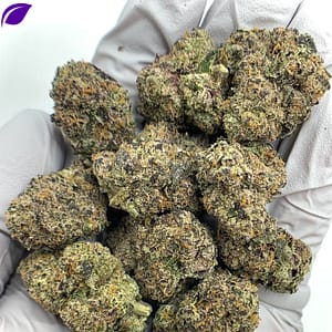 Archive Runtz Exotic THCa Flower with dense, frosty buds and a sweet, fruity aroma