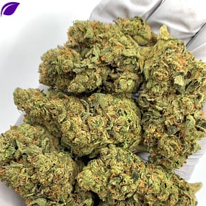ChemDawg THCa Flower (Chemdog) for Bulk Wholesale Purchase