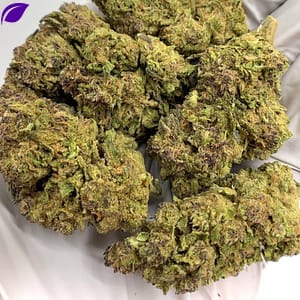 Close-up of Gushers THCa Flower, highlighting the strain's unique characteristics and trichome structure