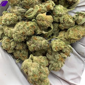 Grapes and Cream THCa Flower buds on a white background, showcasing dense, purple-hued nugs with a sweet, fruity aroma