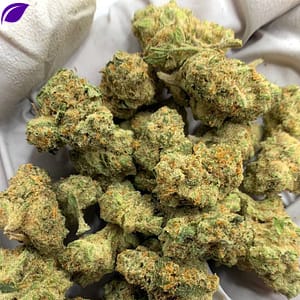Honey Buns Exotic THCa Flower buds on a white background, showcasing dense, frosty nugs with a sweet aroma